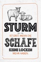 Holzschild 30x20 cm lustig Sturm wenn Schafe Locken