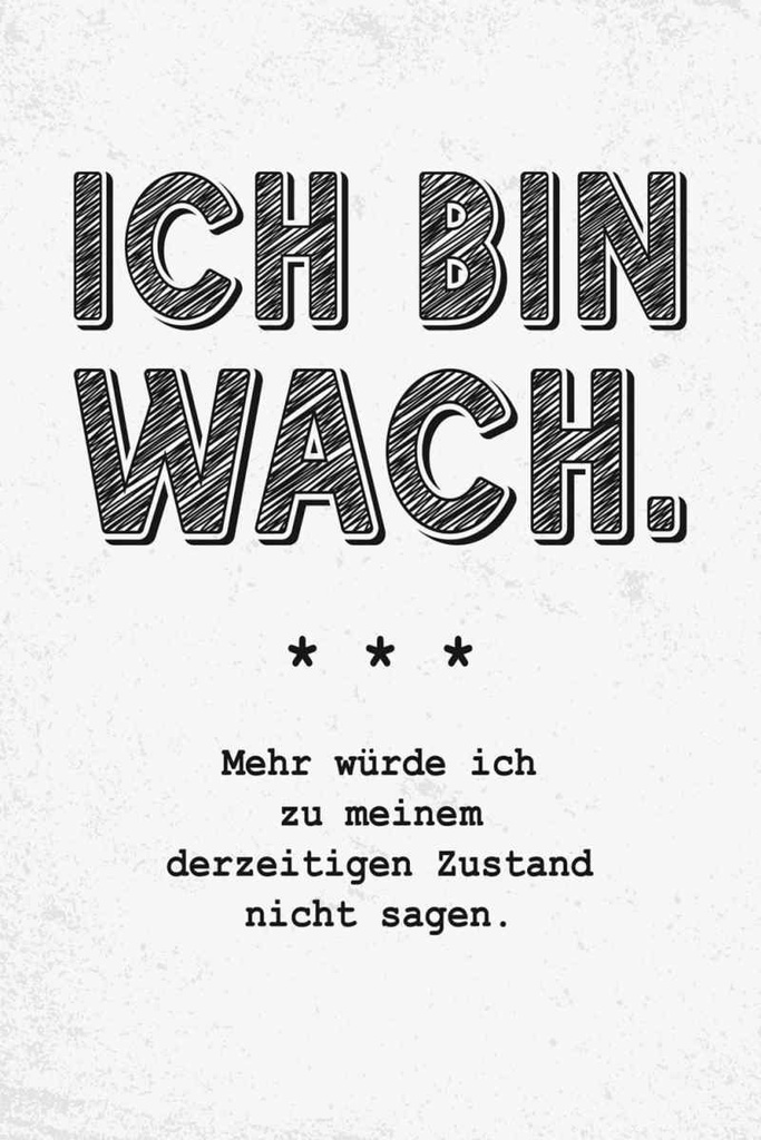 Holzschild 30x20 cm lustig Zustand Ich bin wach
