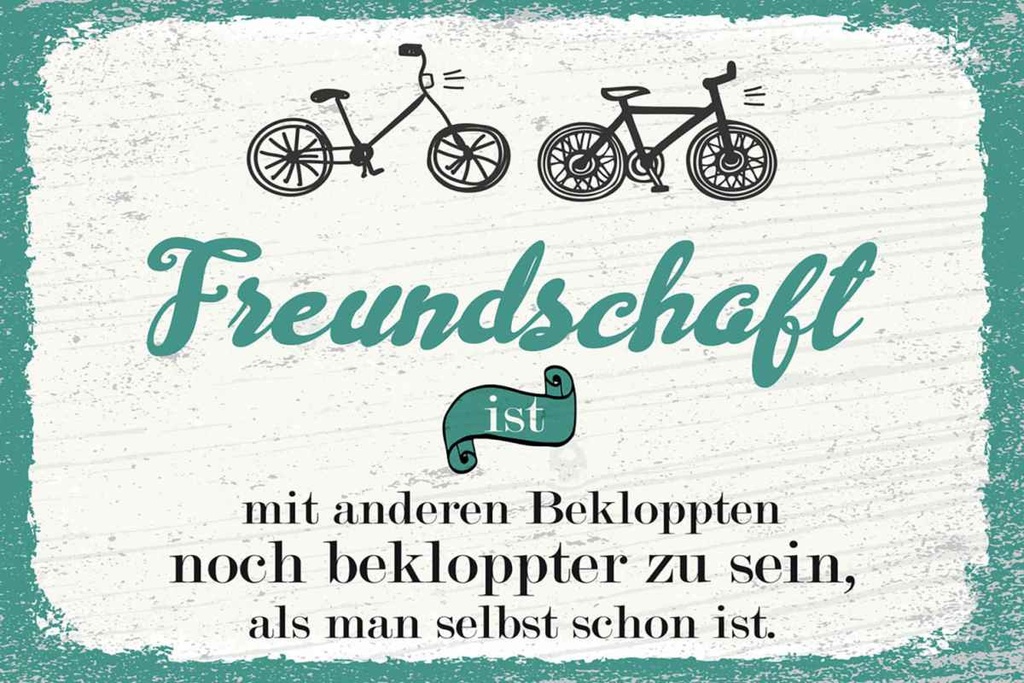 Holzschild 20x30 cm Freundschaft noch bekloppter sein