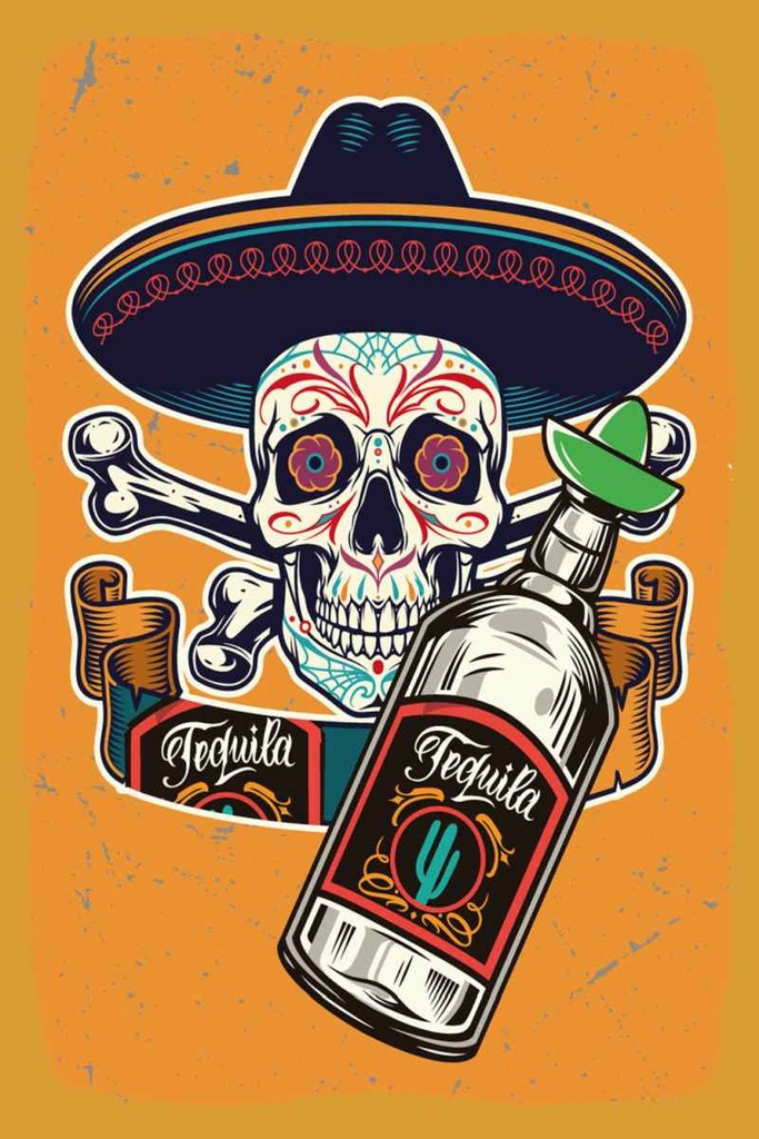Holzschild 30x20 cm Totenkopf Tequila