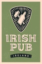 Holzschild 30x20 cm Ireland Irish pub
