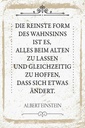 Holzschild 30x20 cm Einstein reinste Form Wahnsinns