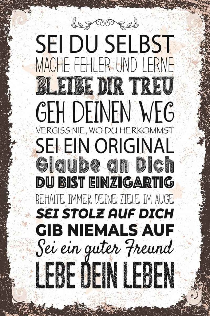 Holzschild 30x20 cm Sei du selbst mache Fehler lerne