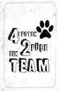 Holzschild 30x20 cm Tiere 4 Pfoten ein 2 Füße Team