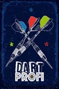 Holzschild 30x20 cm Sportart Dart Profi Dartpfeile