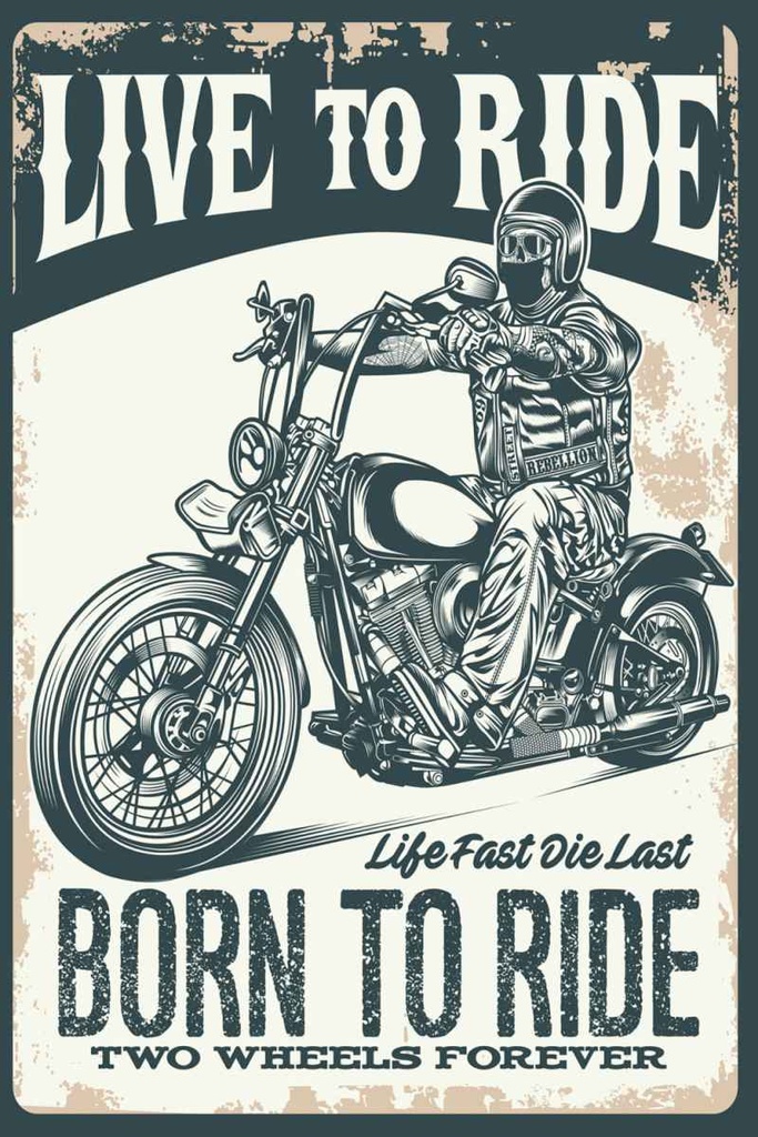 Holzschild 30x20 cm Biker Motorrad born to ride