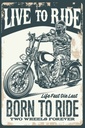 Holzschild 30x20 cm Biker Motorrad born to ride