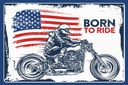 Holzschild 20x30 cm Biker Born to Ride USA Motorcycle