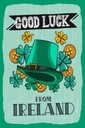 Holzschild 30x20 cm Good Luck From Ireland