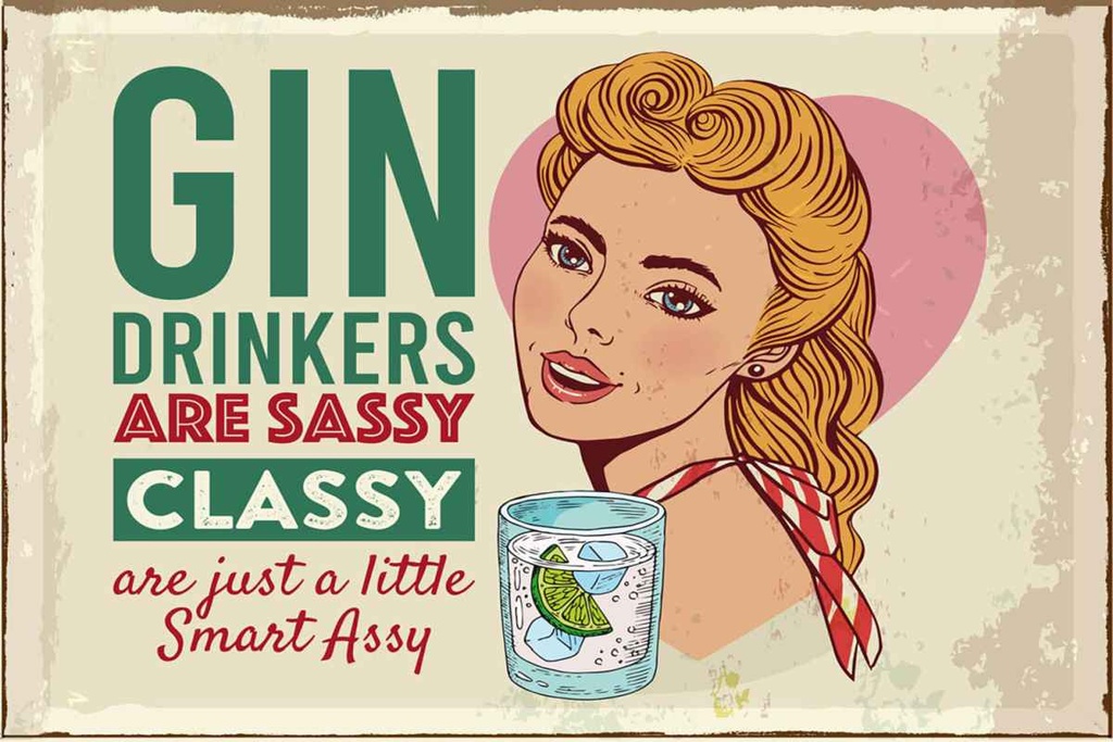 Holzschild 20x30 cm Gin Drinkers are sassy classy