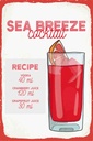 Holzschild 30x20 cm Sea Breeze Cocktail Recipe