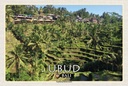 Holzschild 20x30 cm Ubud Bali Tegalalang Reisterrassen Bildmotiv Reisemotiv Abenteuer Reisen