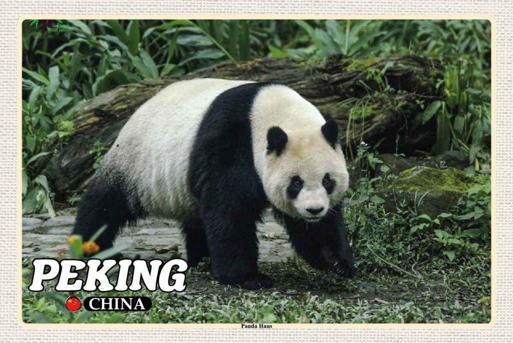 Holzschild 20x30 cm Peking China Panda Haus Bildmotiv Reisemotiv Straße Stadt