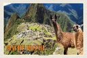 Holzschild 20x30 cm Machu Picchu Ruinen der Inka-Stadt Lamas Bildmotiv Reisemotiv Amerika USA
