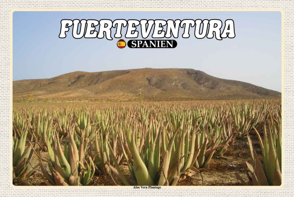 Holzschild 20x30 cm Fuerteventura Spanien Aloe Vera Plantage Bildmotiv Reisemotiv Europa