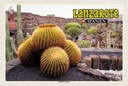 Holzschild 20x30 cm Lanzarote Spanien Jardin de Cactus Garten Bildmotiv Reisemotiv Europa