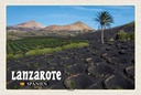 Holzschild 20x30 cm Lanzarote Spanien La Geria Dorf Bildmotiv Reisemotiv Europa