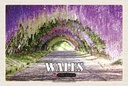 Holzschild 20x30 cm Wales Laburnum Arch Bodnant Garden Bildmotiv Reisemotiv Europa