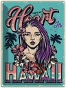 Blechschild 40x30 cm Hawaii i left my heart Dekoration