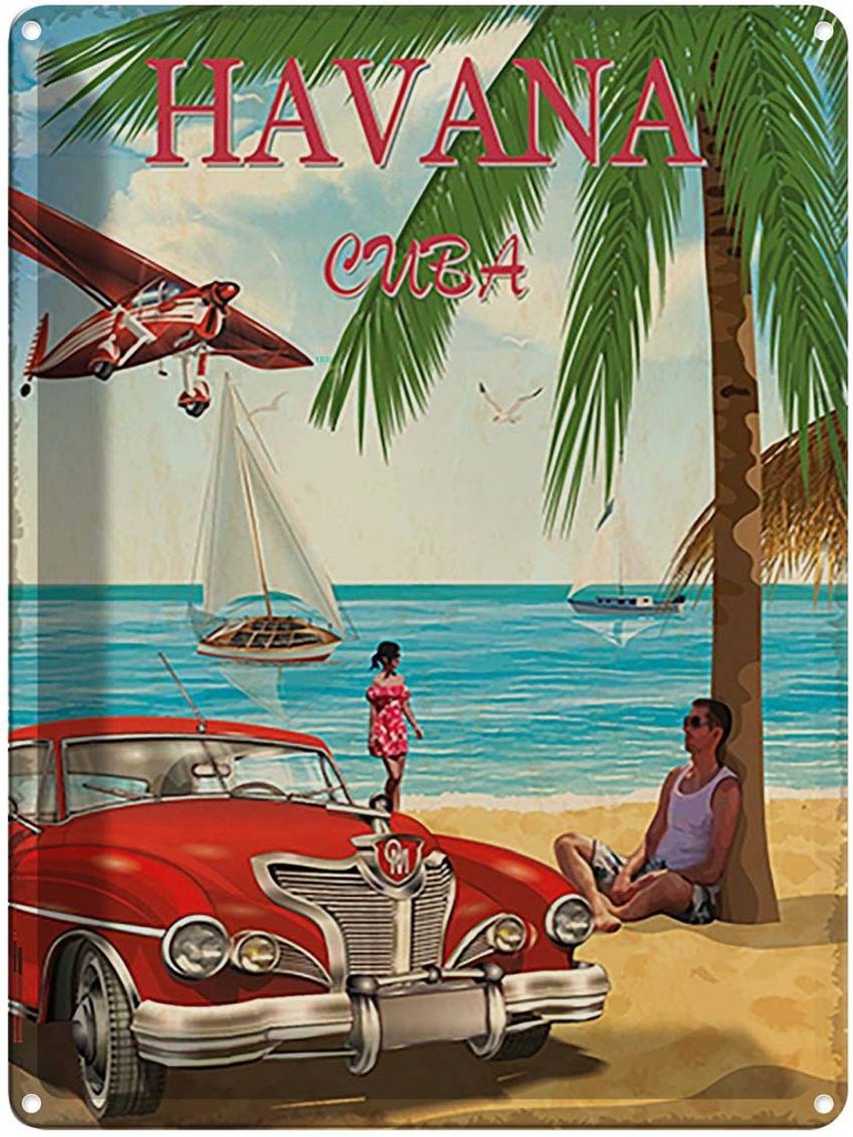 Blechschild 40x30 cm Retro Urlaub Palmen Outdoor Camping