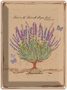Blechschild 40x30 cm trust in the lord with all Dekoration