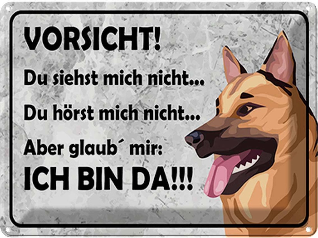 Blechschild 30x40 cm Vorsicht Hund Du siehst mich nicht Warnschild Hinweisschild Sicherheit