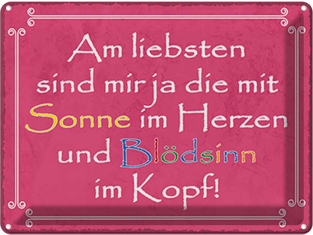 Blechschild 30x40 cm am liebsten sind die mit Sonne Spruch Zitat