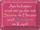 Blechschild 30x40 cm am liebsten sind die mit Sonne Spruch Zitat