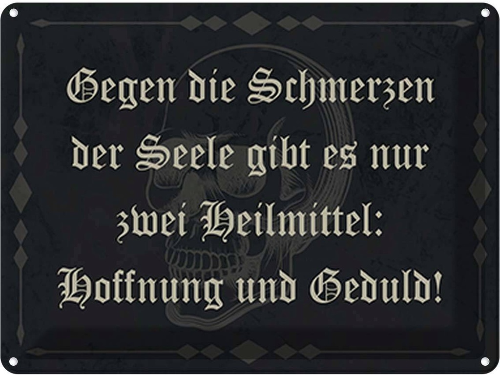 Blechschild 30x40 cm Schmerzen Seele zwei Heilmittel Spruch Zitat