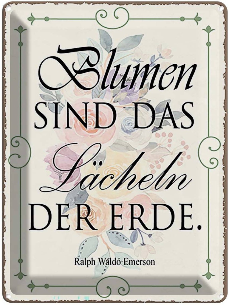 Blechschild 40x30 cm Blumen sind das Lächeln der Erde Spruch Zitat