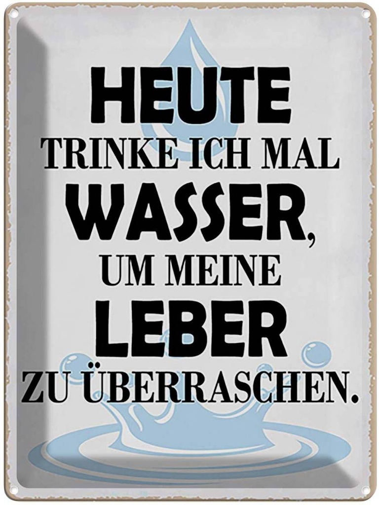 Blechschild 40x30 cm heute trinke ich Wasser Leber Essen Trinken