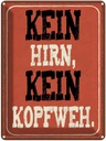Blechschild 40x30 cm kein Hirn Kopfweh Dekoration Spruch Zitat