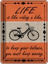 Blechschild 40x30 cm Life is like riding a bike Spruch Zitat