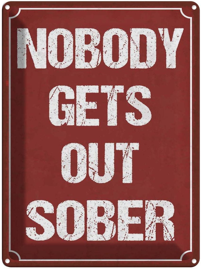 Blechschild 40x30 cm nobody gets out sober Alkohol Dekoration