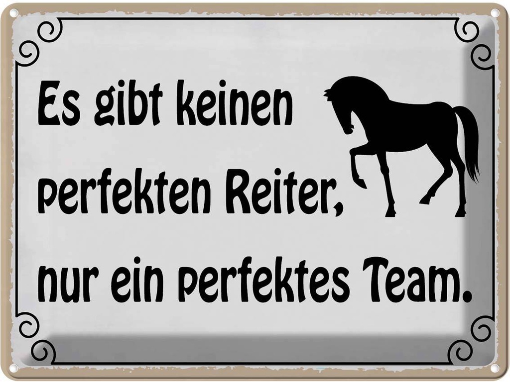 Blechschild 30x40 cm es gibt keinen perfekten Reiter Spruch Zitat