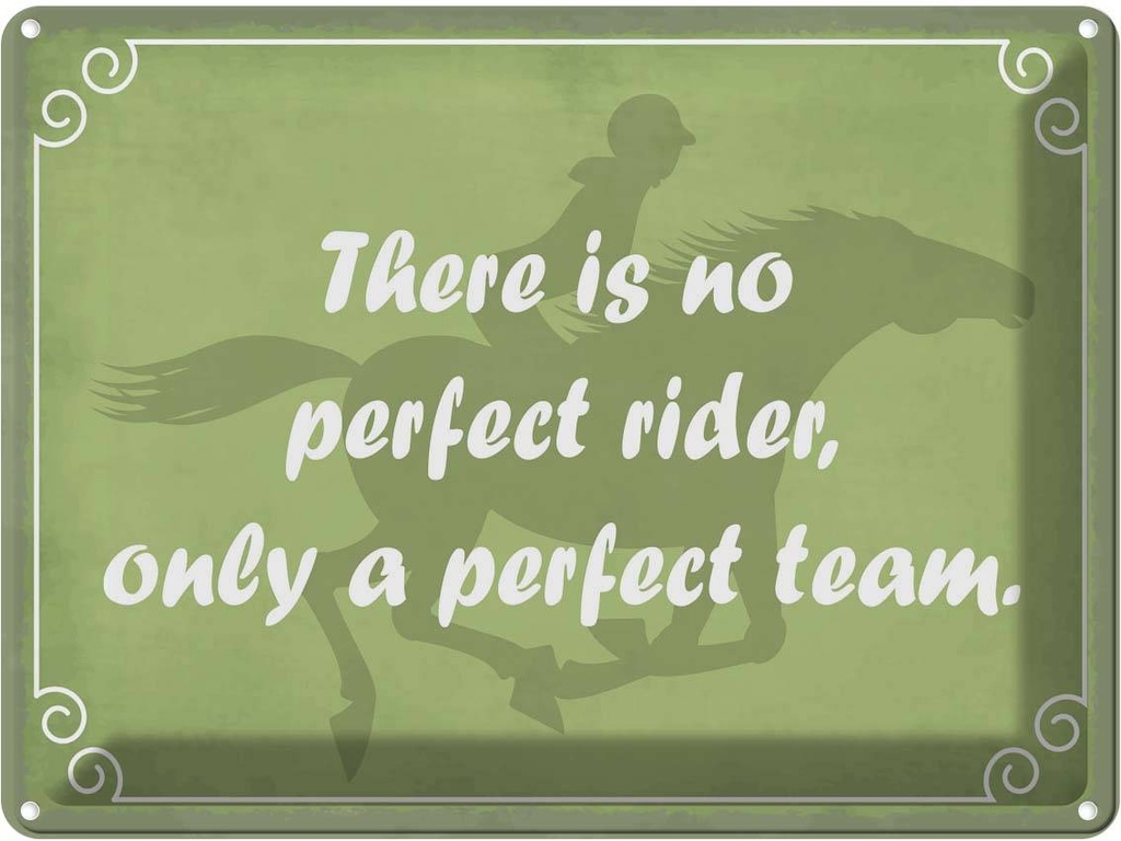 Blechschild 30x40 cm there is no perfect rider only Dekoration