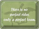 Blechschild 30x40 cm there is no perfect rider only Dekoration