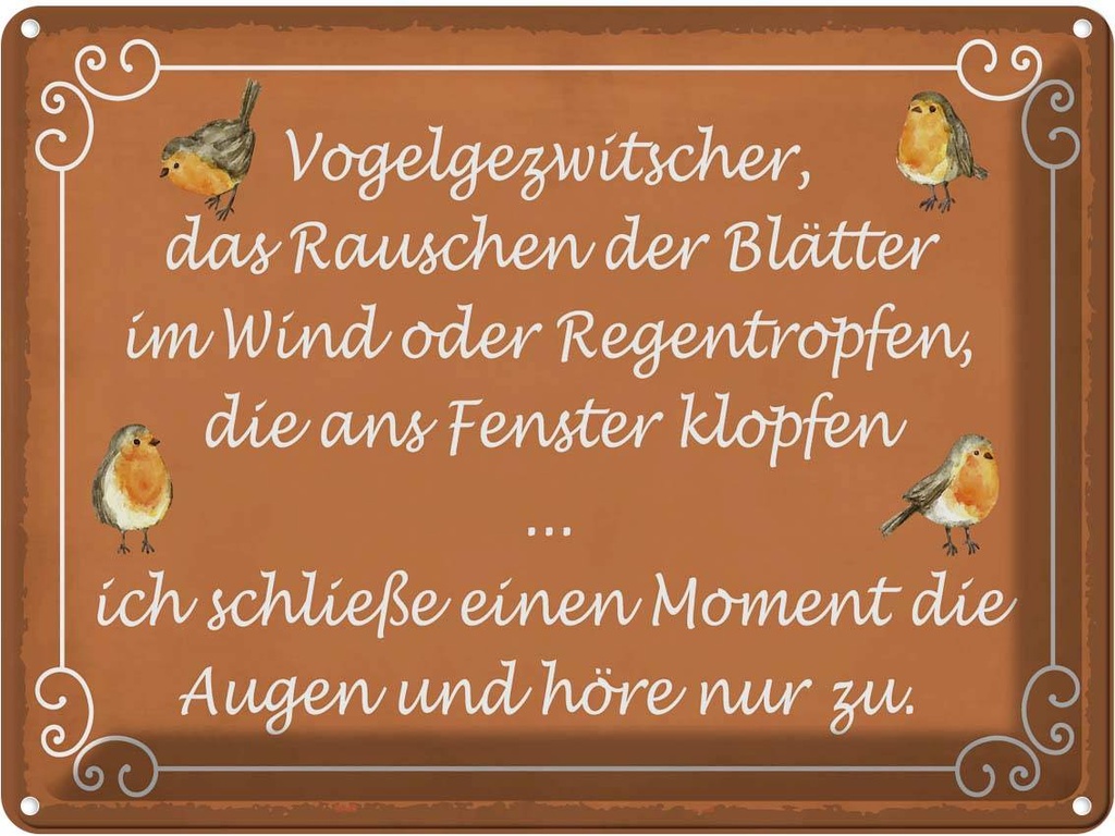 Blechschild 30x40 cm Vogelgezwitscher Vogel Dekoration Spruch Zitat