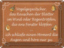 Blechschild 30x40 cm Vogelgezwitscher Vogel Dekoration Spruch Zitat