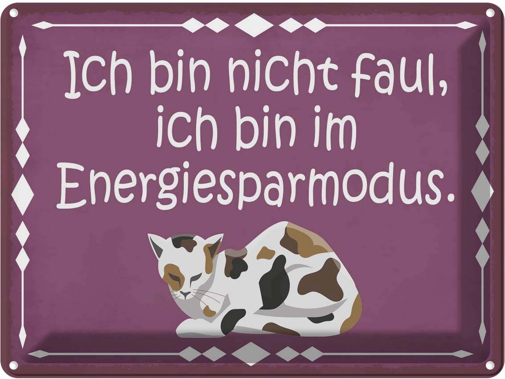 Blechschild 30x40 cm Katze ich bin nicht faul im Tier Haustier