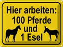 Blechschild 30x40 cm arbeiten 100 Pferde und 1 Esel Spruch Zitat