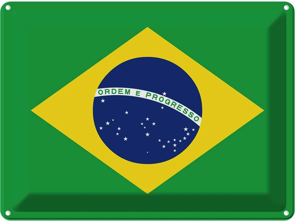 Blechschild 30x40 cm Brasiliens Brazil Flagge Fahne Wappen