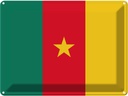 Blechschild 30x40 cm Kameruns Cameroon Flagge Fahne Wappen