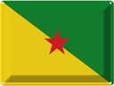 Blechschild 30x40 cm Französisch?Guayanas French Flagge Fahne Wappen