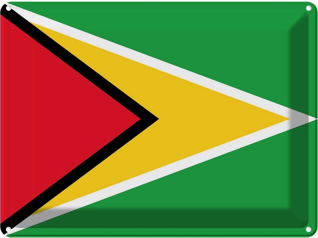 Blechschild 30x40 cm Guyanas Guyana Flagge Fahne Wappen