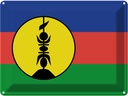 Blechschild 30x40 cm Neukaledonien New Caledonia Flagge Fahne Wappen