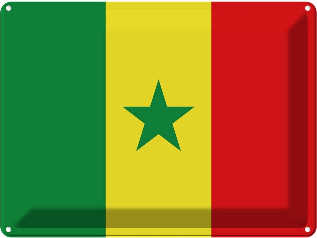 Blechschild 30x40 cm Senegal Flagge Fahne Wappen