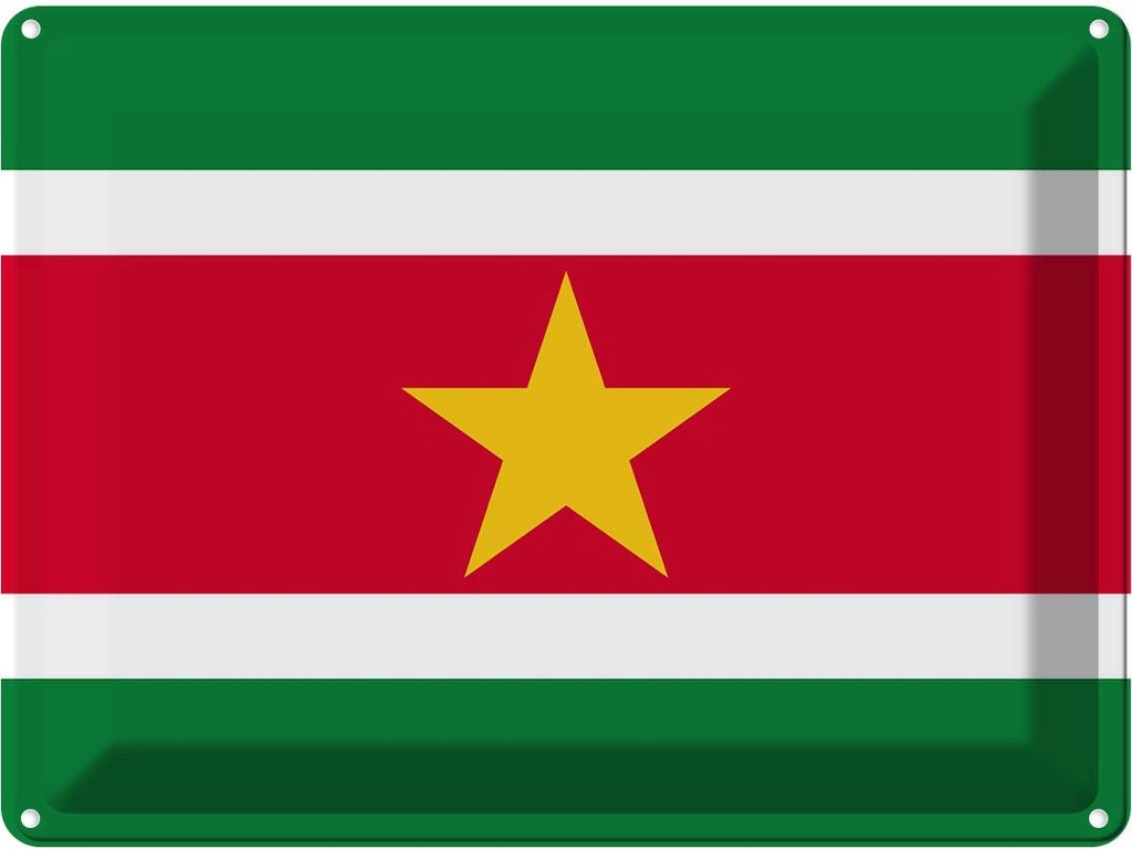 Blechschild 30x40 cm Surinames Suriname Flagge Fahne Wappen