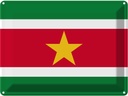 Blechschild 30x40 cm Surinames Suriname Flagge Fahne Wappen
