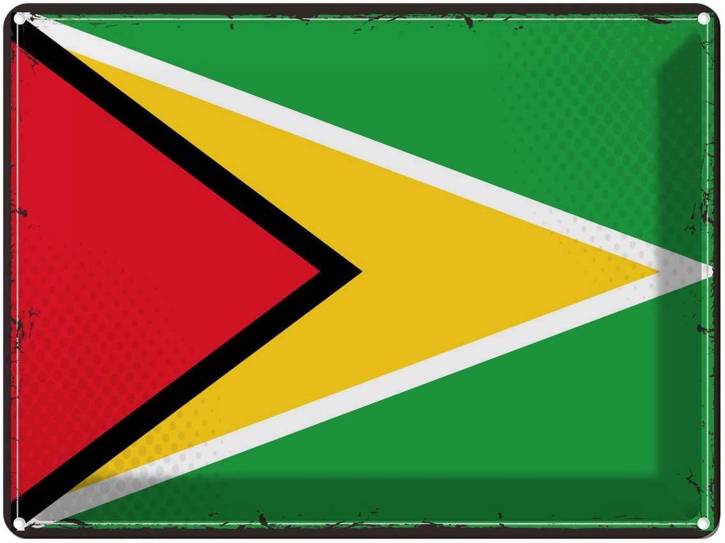 Blechschild 30x40 cm Guyanas Retro Guyana Flagge Fahne Wappen